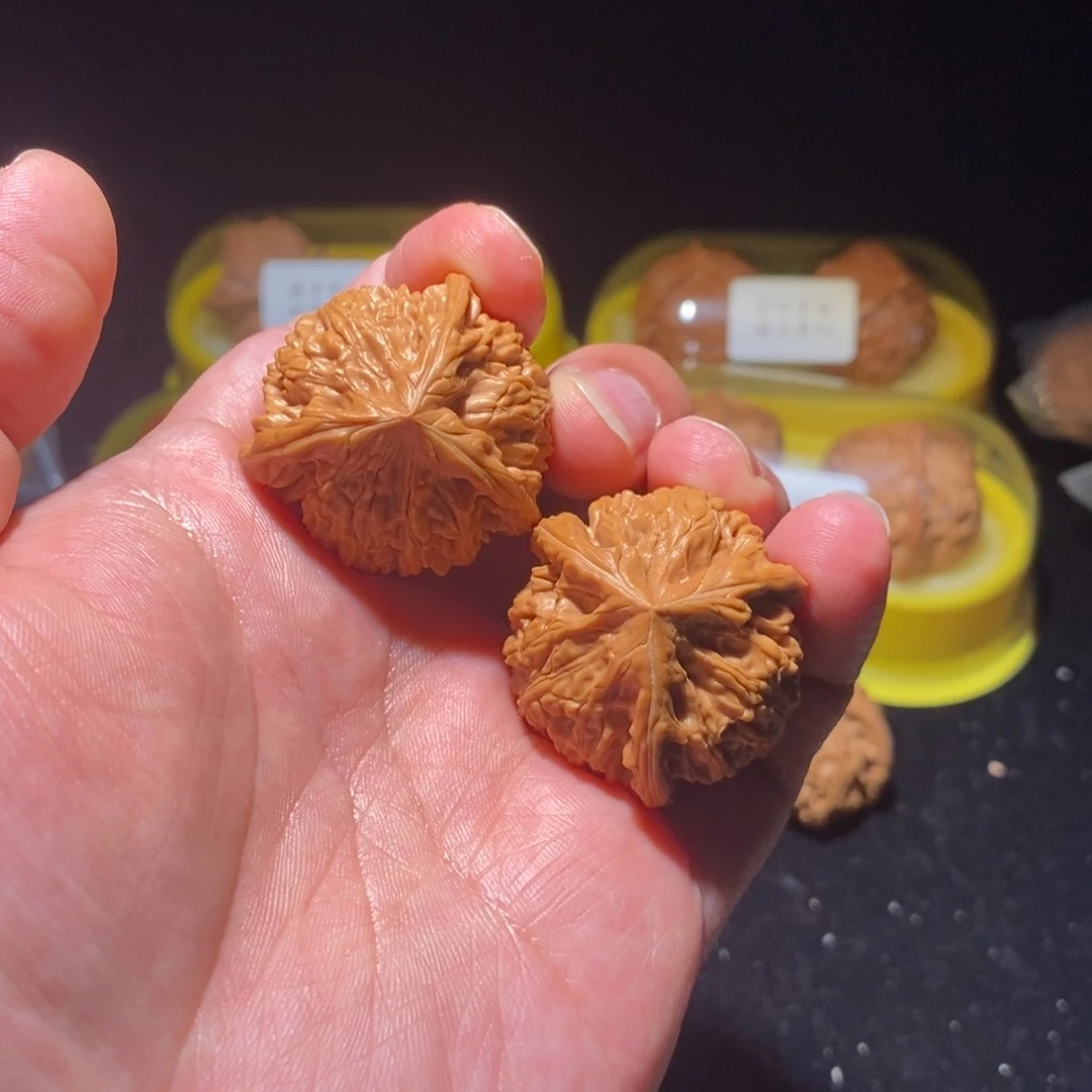 35御龙粗筋正球奔精品对