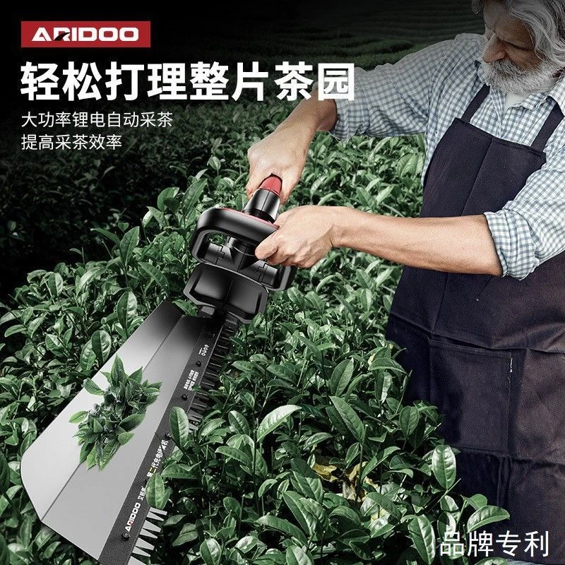 绿篱修剪机电动绿篱机专用园林工具专用新款小型锂电便携式采茶