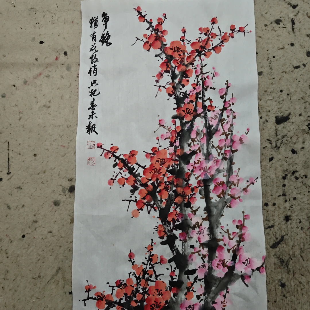 双色梅花，顺丰快递包邮34cm*70