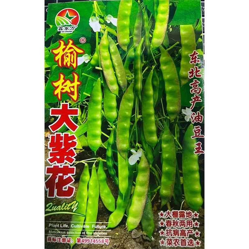 榆树大紫花种子（发两包）