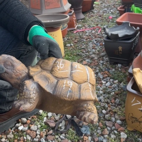 红陶紫砂花盆盆景盆栽