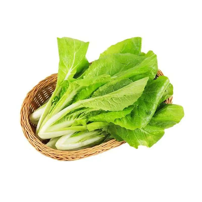 奶白菜（称重）约300g 份