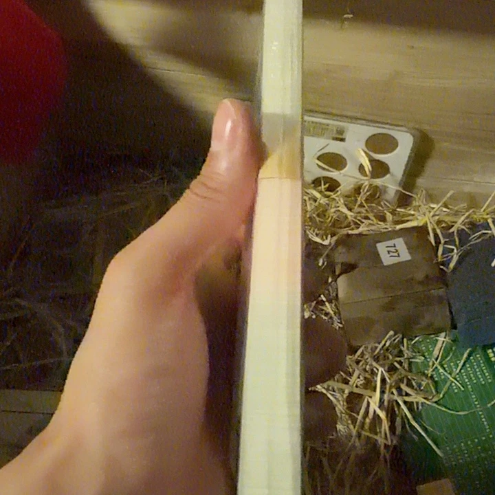 玉54454555443355444554