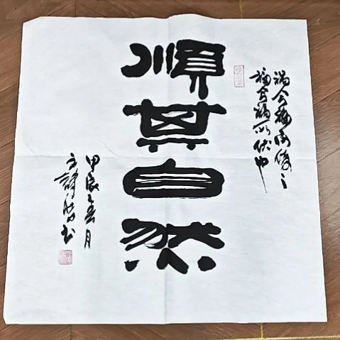 书法顺其自然 王诗皓老师