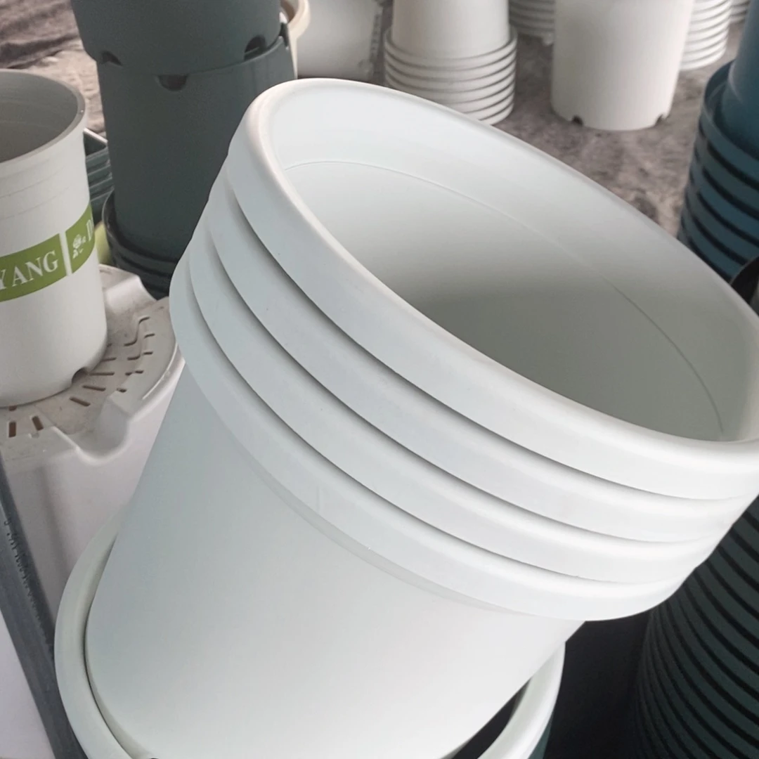 树脂4个32口奶白带托