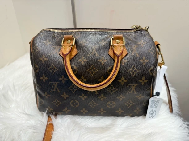 95新 LouisVuitton/路易威登 speedy 25 005685