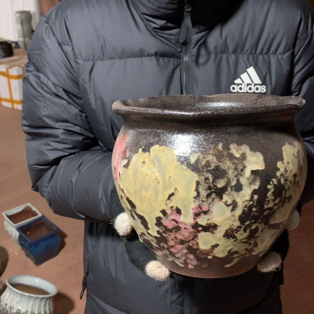 花盆啦啦啦快来啦啦啦