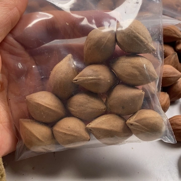 橄榄核手串/手链橄榄核雕