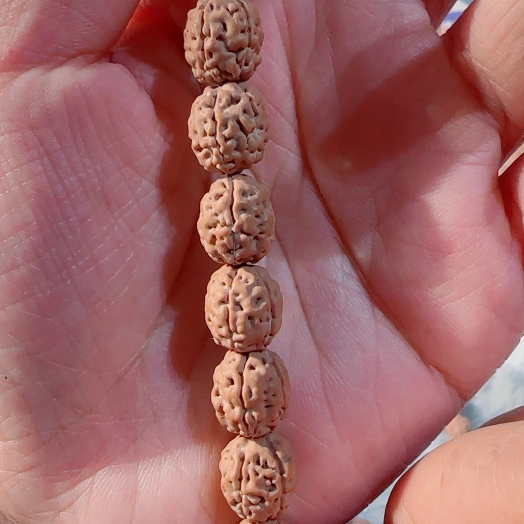 金刚菩提吊坠二代盘龙