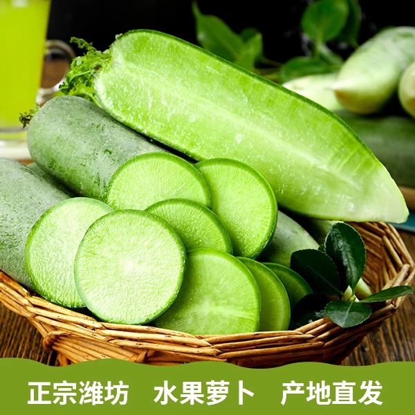 山东潍坊水果萝卜新鲜现挖脆甜爽口适合生吃现挖现发产地直发