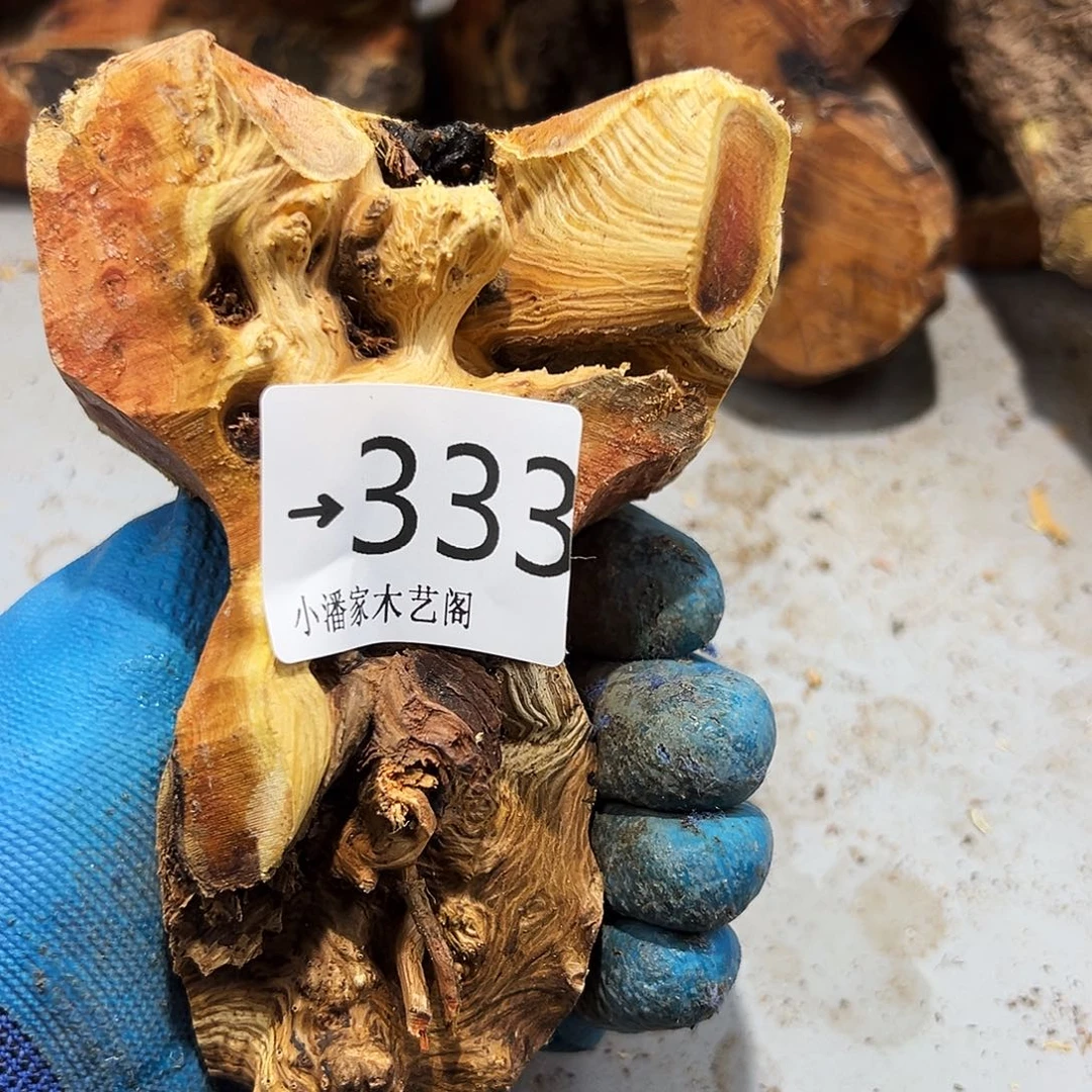 香榧木ㅤ****火琉璃……火琉璃