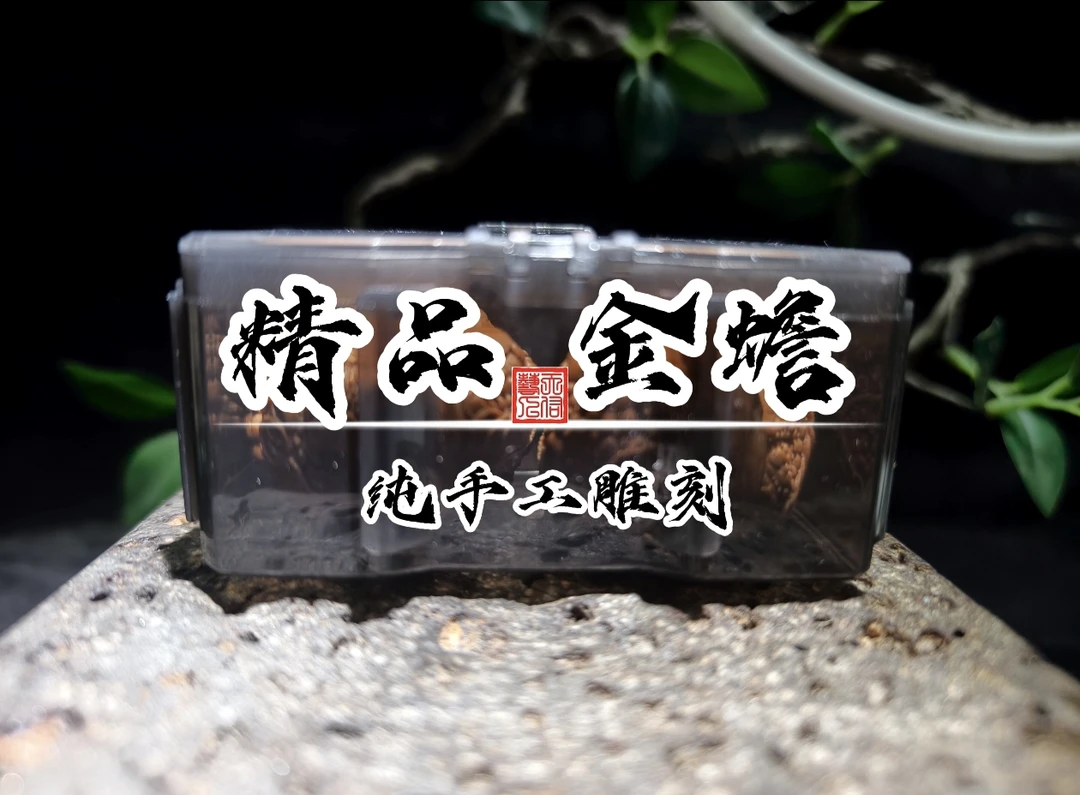 文玩雕刻核桃手把件