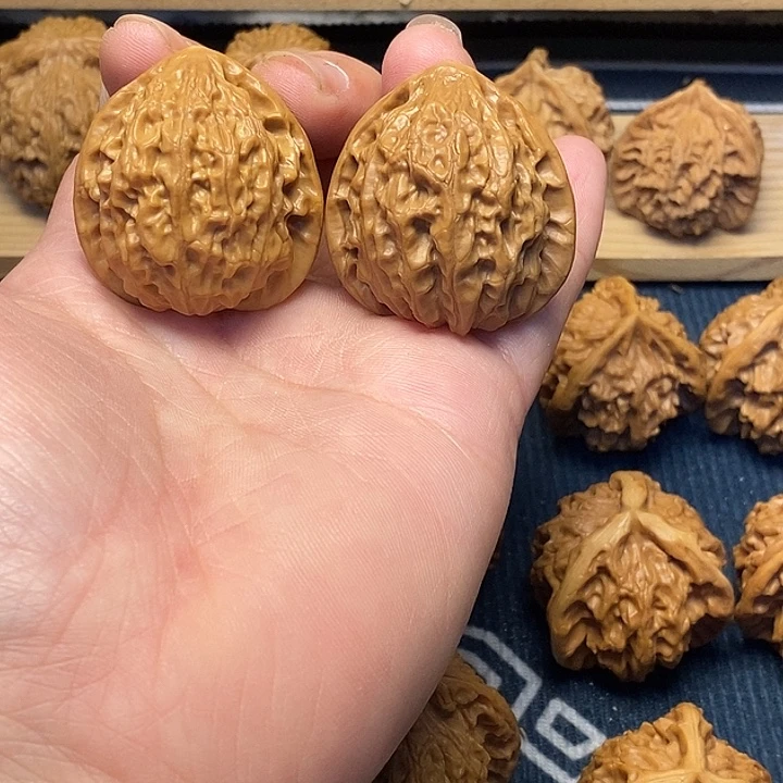 核桃37金牛福利核桃