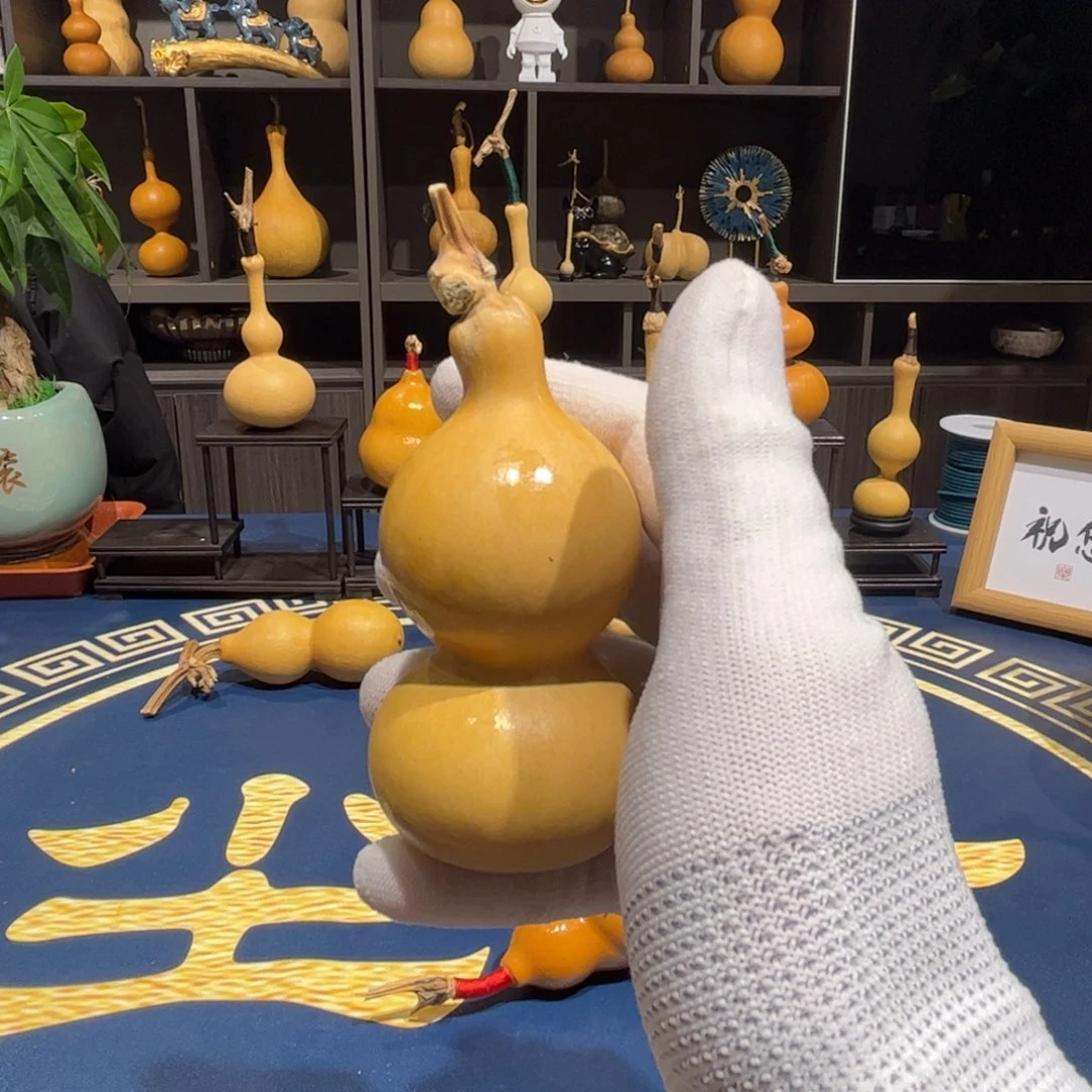 刘***程葫芦娃的时候我就不想