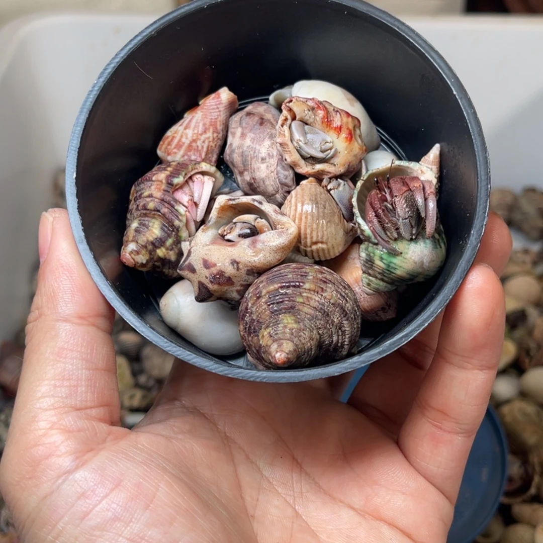 海***森这一个是一家集医疗保健及娱乐