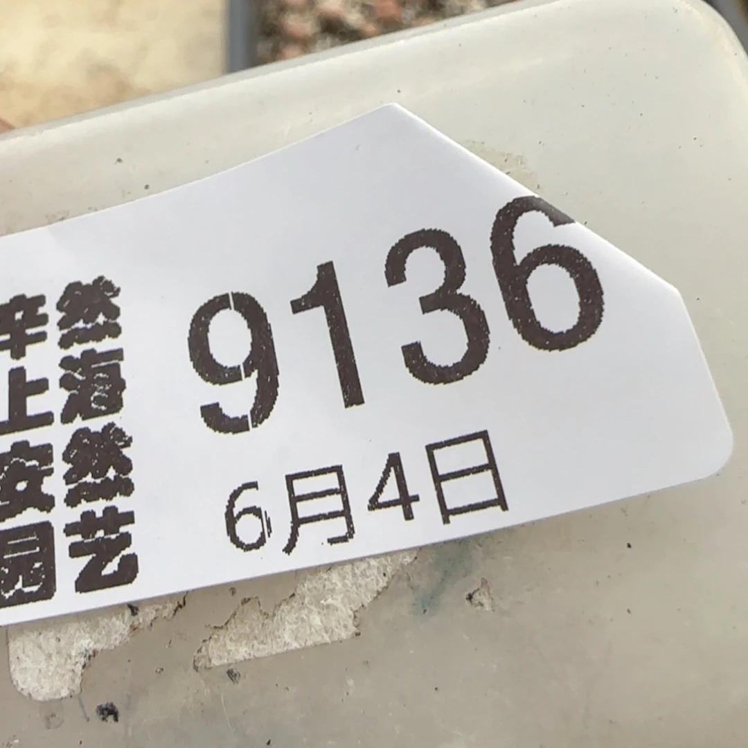 L****?6.4。217。9136。，