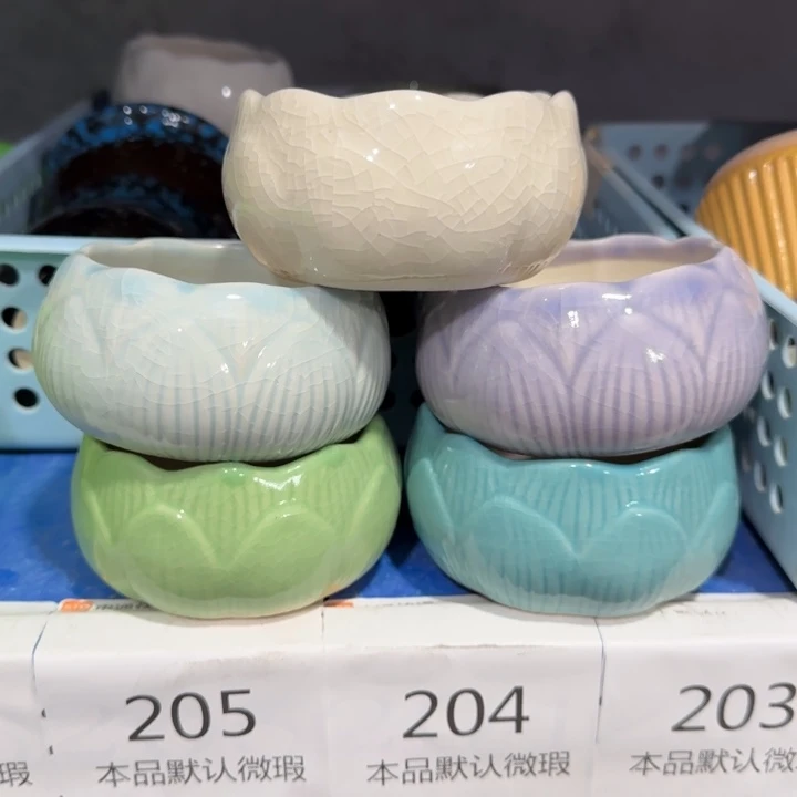 5个《所有单满15发（花盆）》8+5