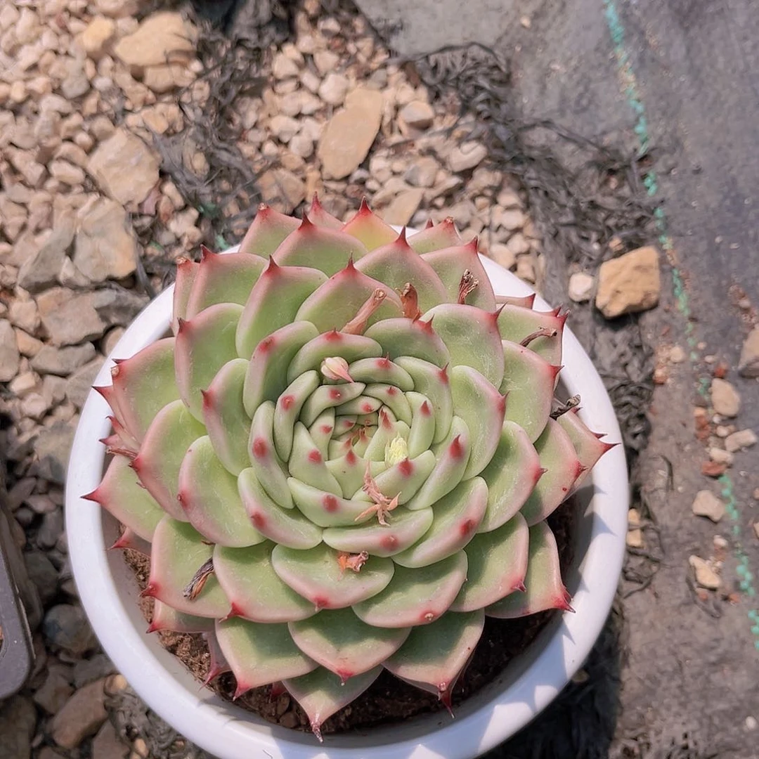 小徐99999999999999998999