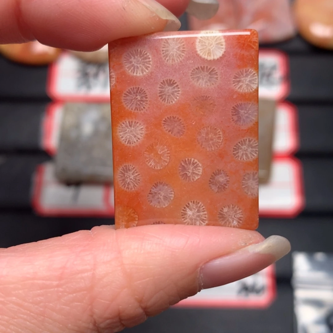 【闪购商品】硅化玉颈饰未镶嵌虹**光