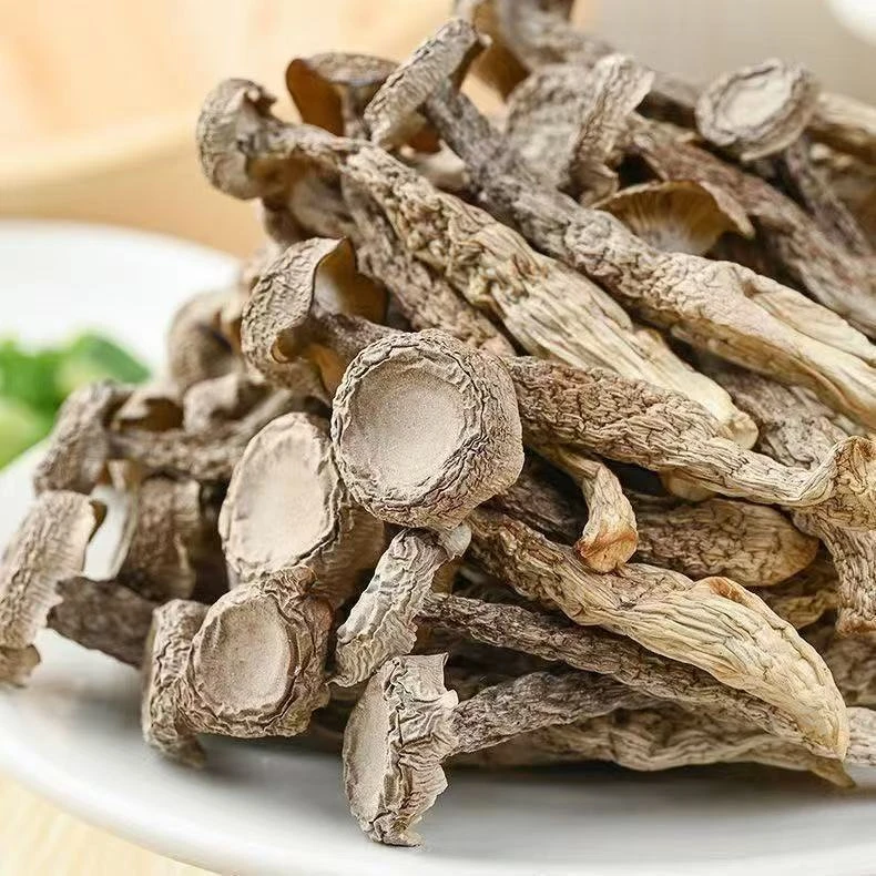 【官方助农】鹿茸菇