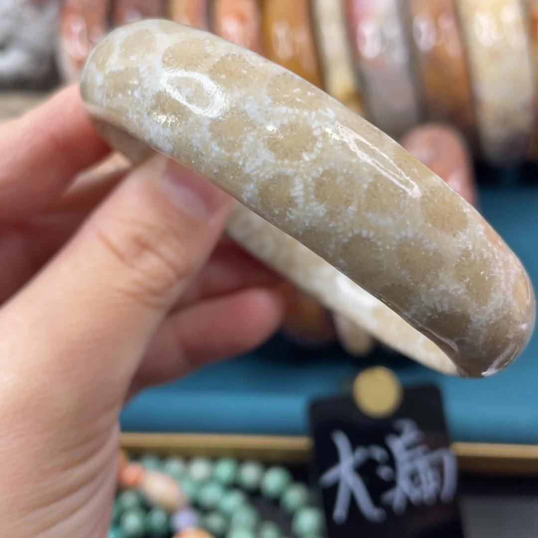 未镶嵌手镯硅化玉