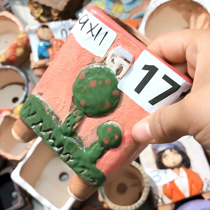 多肉花盆满15包邮