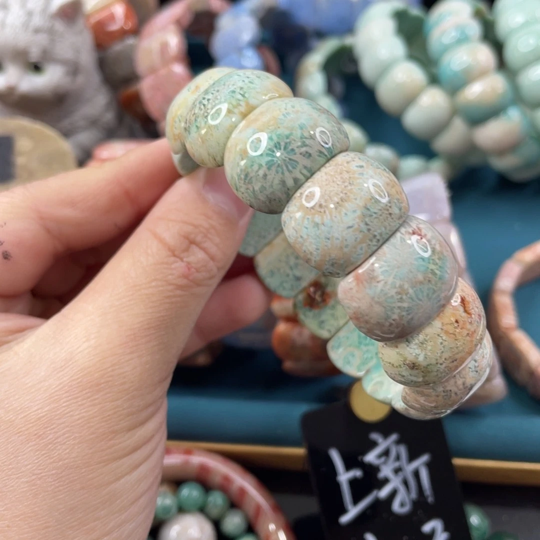 未镶嵌手镯硅化玉