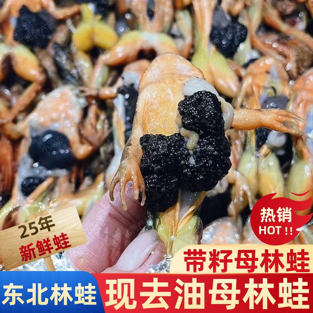 【今日新货】当天新鲜现去油东北大母豹子 鲜冻发货赠东北大酱