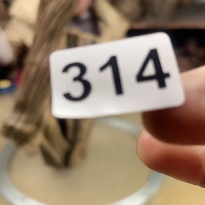 风车木（黑檀木）海*我们都是很喜欢这个