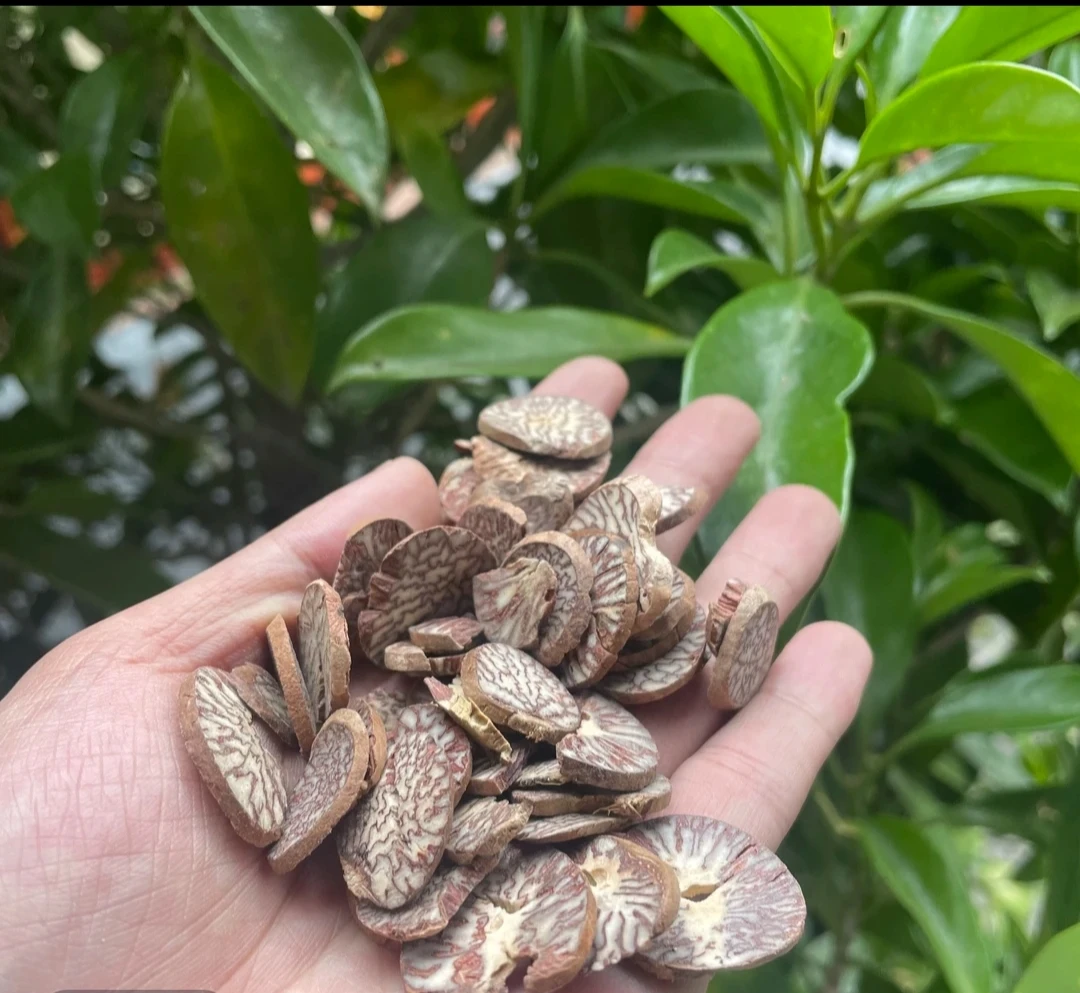 【玄-武-胆】云南高山土特产