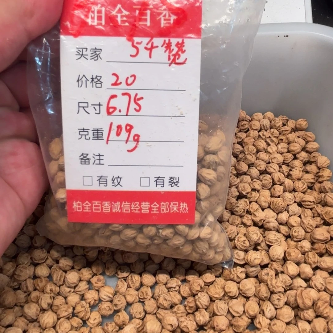两*柏香籽散子 109 克散子