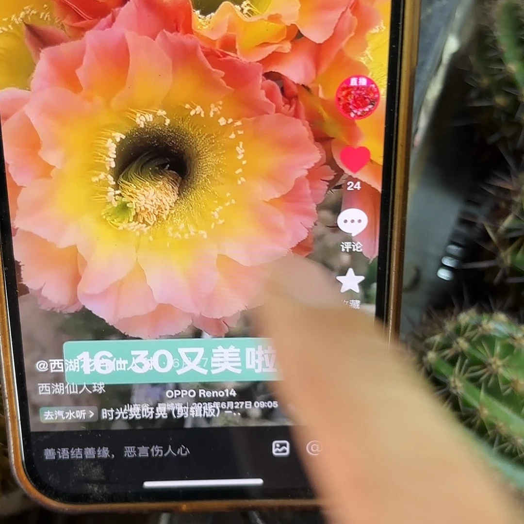 16-30白侧牙20包邮29