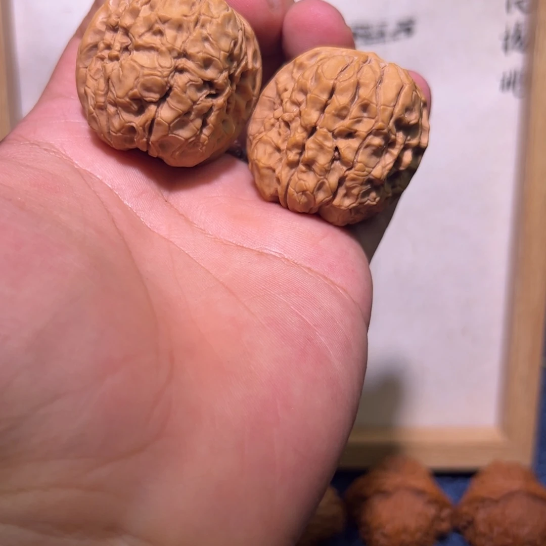 文玩核桃把件39甲骨文有修，福利大漏一对不退不换，包红