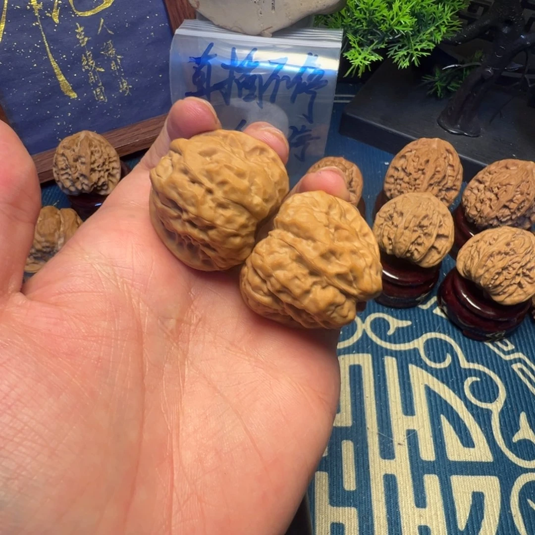 37尺白茬蛤蟆头核桃