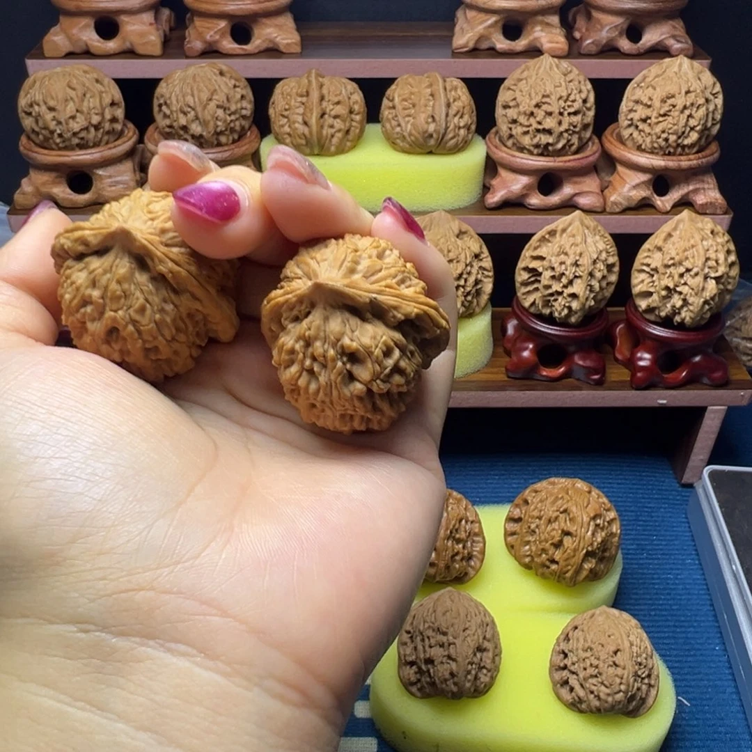 木质全品无修水龙