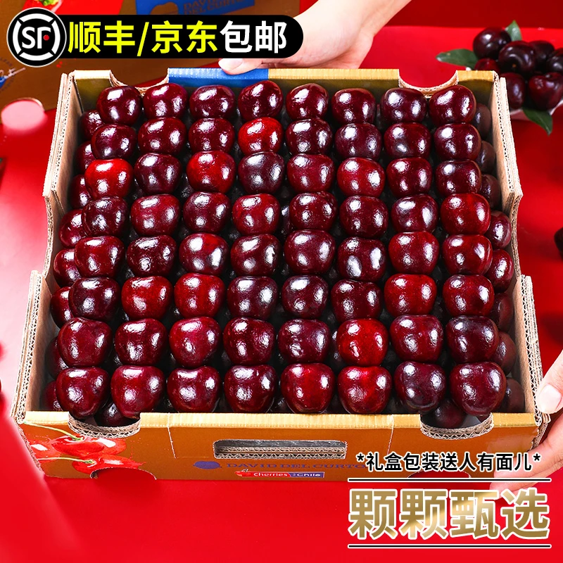 【现货速发】智利进口车厘子桑提娜礼盒J-4J新鲜水果内附果径卡海运
