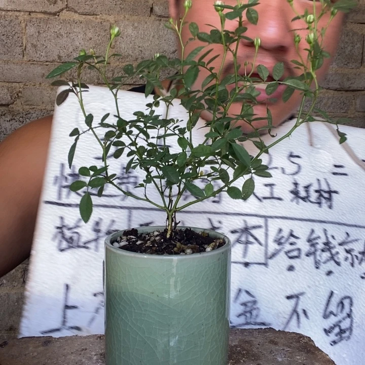 退款拉黑一物一拍83