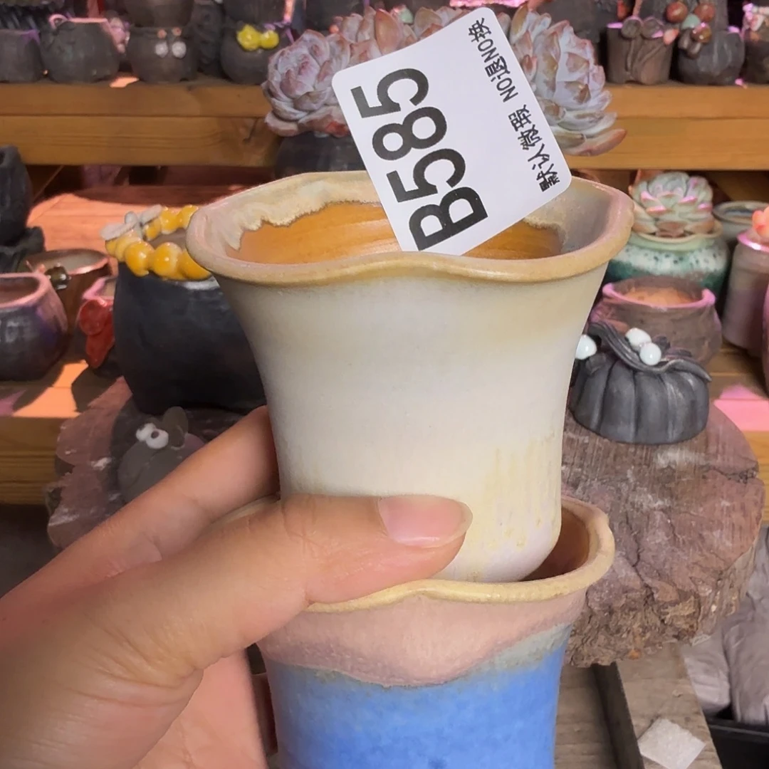 重庆小燕子欢迎大家585