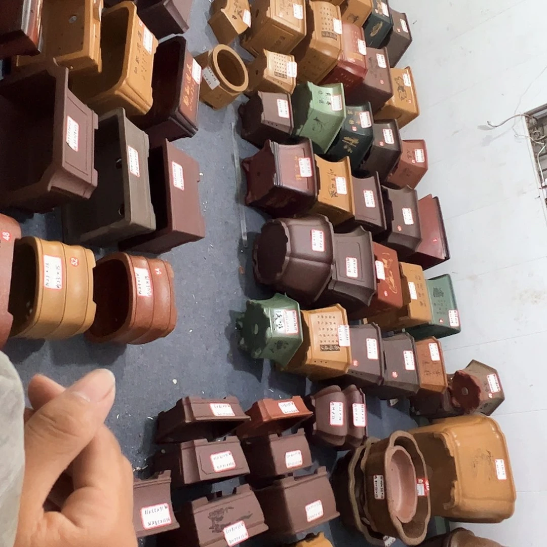 紫砂其他紫砂花盆