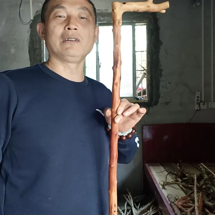 稳定木星***?贵州檬子木   铁马鞭   根艺  半成品
