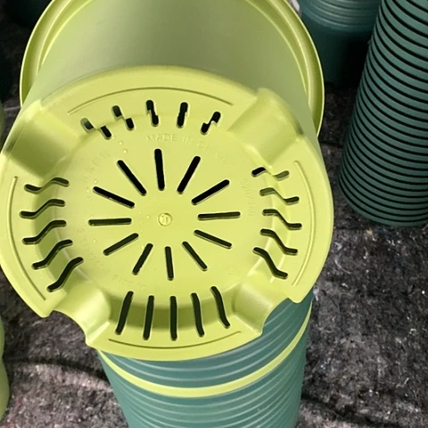 树脂5加果绿无托4个