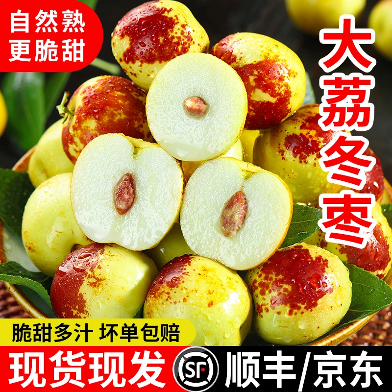 (卓影甄选)正宗陕西大荔冬枣新鲜现摘现发应季水果脆甜多汁产地