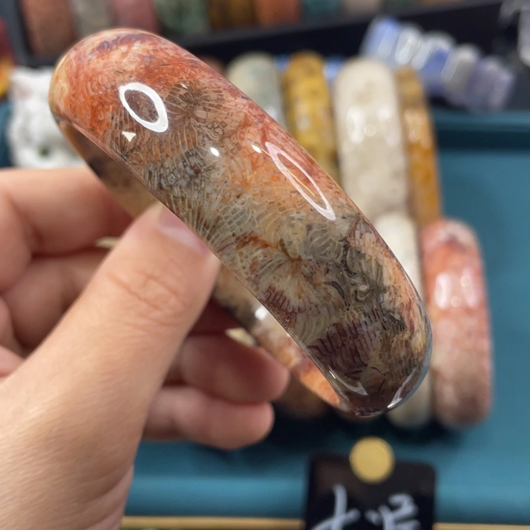 未镶嵌手镯硅化玉