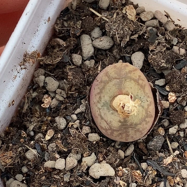 1229-164-；cgbhjjjm