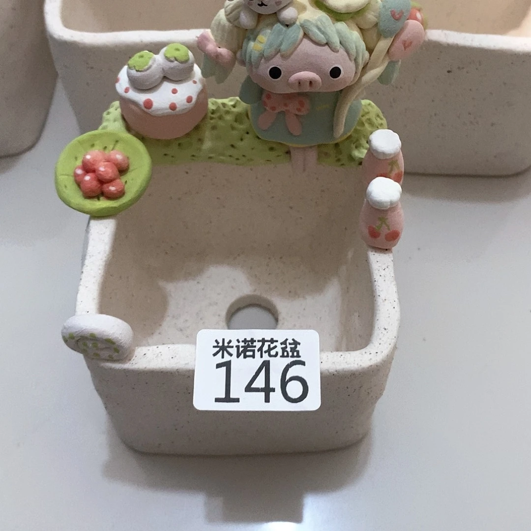爱***条米诺多肉植物花盆146