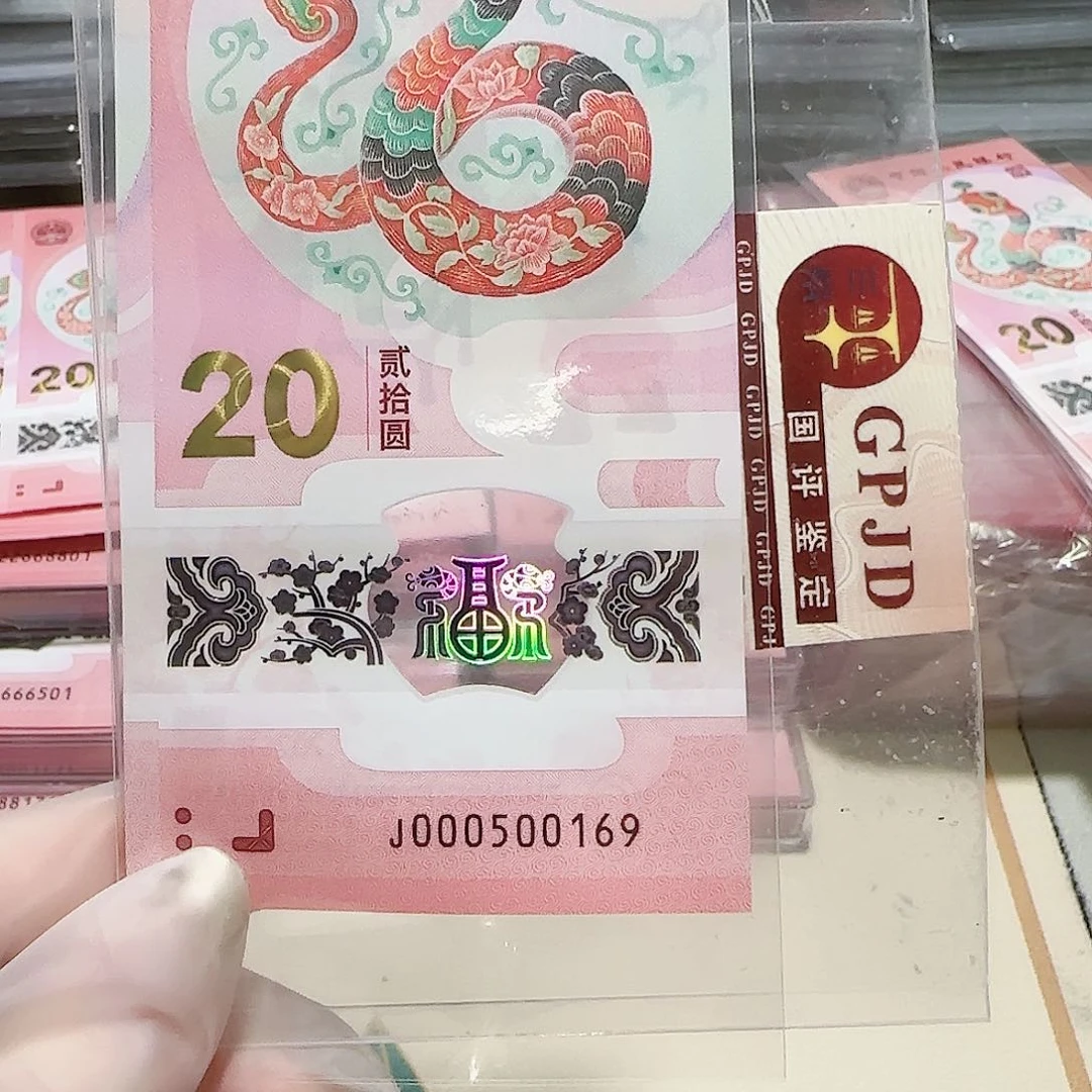 纸000500169。。。5龙珠金马车