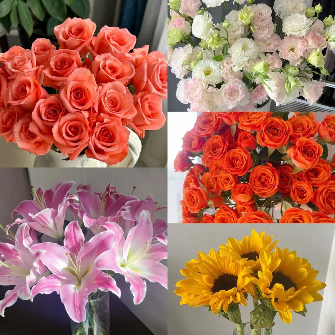 【粉玫瑰百合橙色芭比洋桔梗组合】家庭插花客厅水养鲜花 基地直发