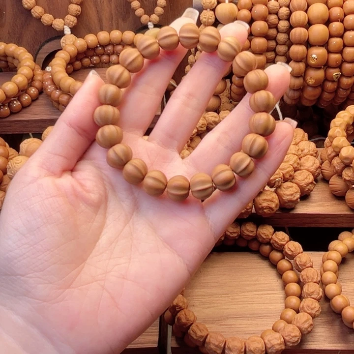 体验款小鲨鱼10.11左右