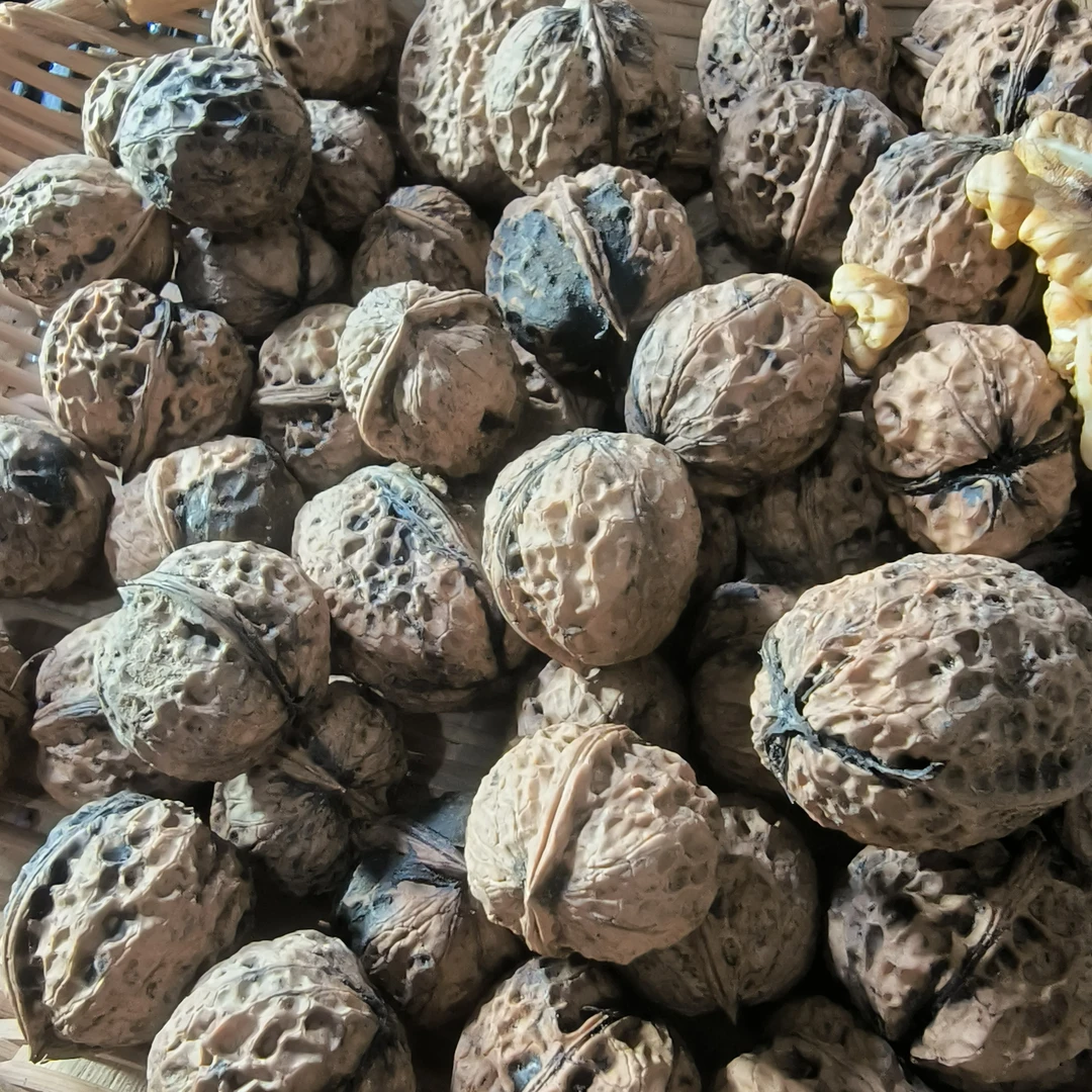 云南高山野生核桃干核桃云南核桃