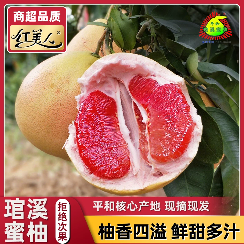 【琯溪蜜柚】琯溪蜜柚 平和红蜜柚新鲜采摘爽口当季水果下